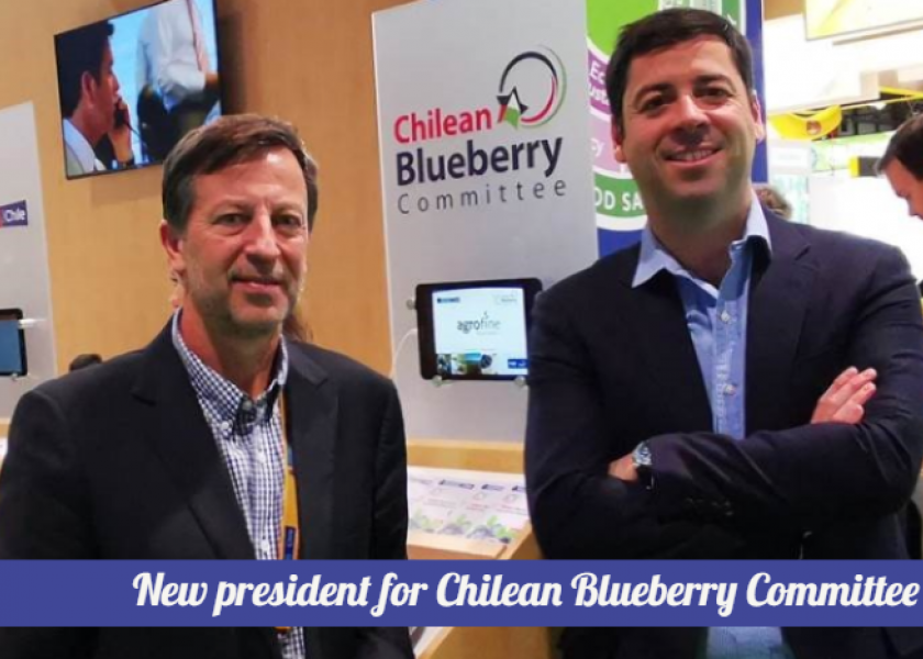 Chilean Blueberry Committee names Felipe Silva president