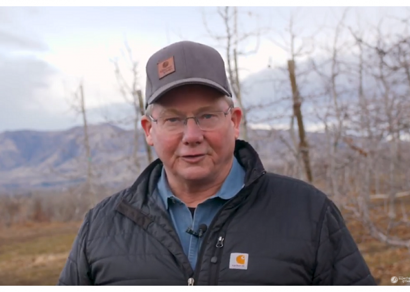Dave Gleason, horticulturalist and proprietary variety developer for Domex Superfresh Growers, Yakima, Wash., gives his latest Orchard Update for the company.
