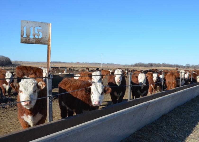 Legislation would attempt to improve cattle markets