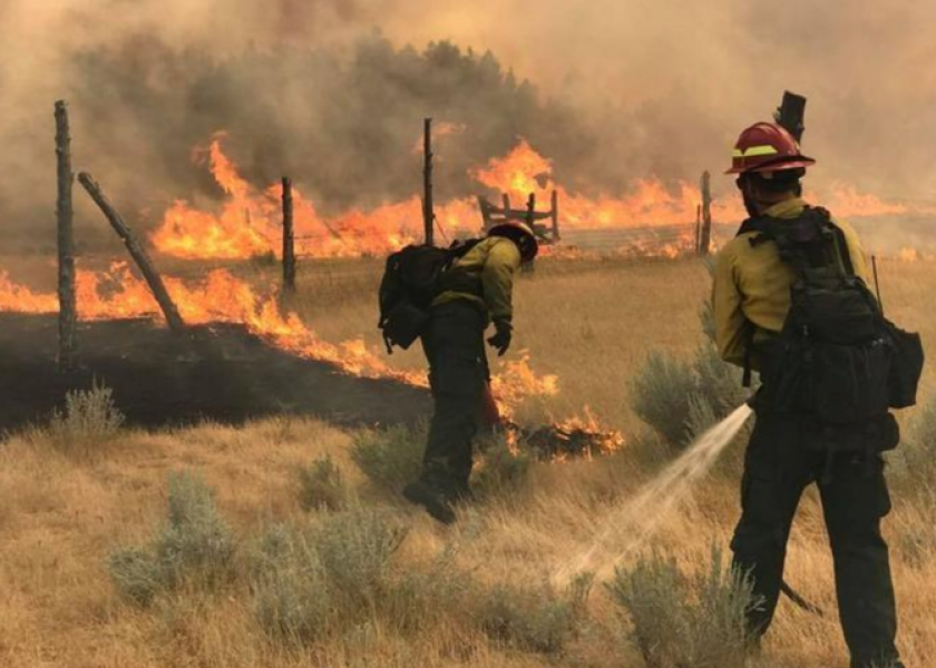 Livestock producers in Montana have been battling multiple wildfires in July, including the 270,200 acre Lodgepole Complex fire.