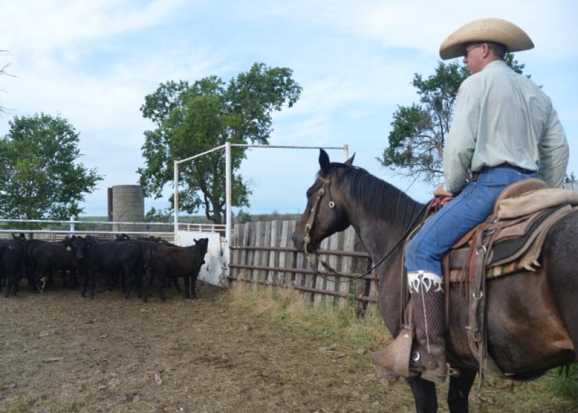 BT_Cattle_Cowboy_Horse_Work