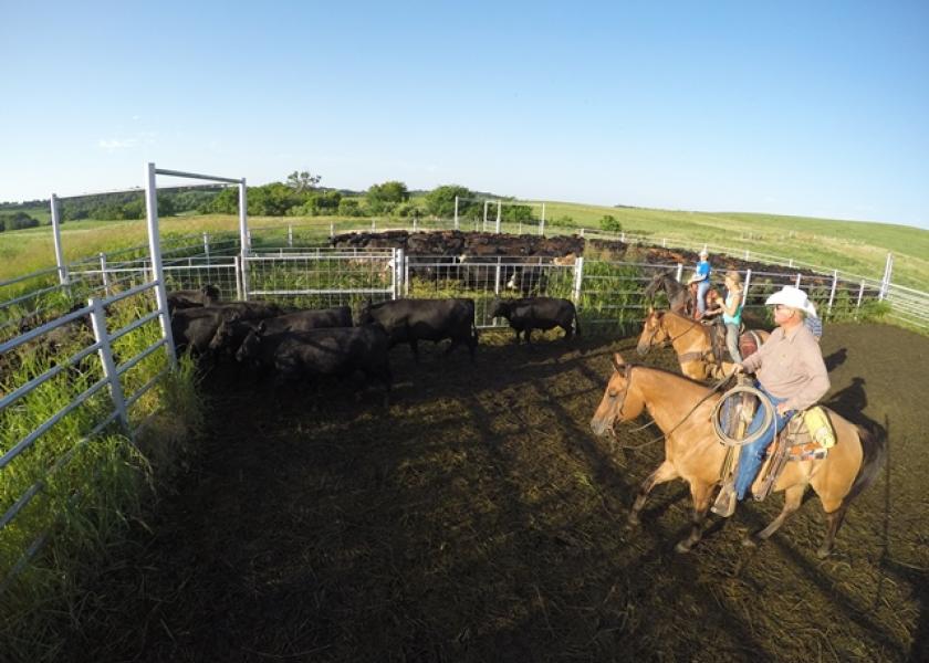 BT_Cowboys_Horseback_Cattle