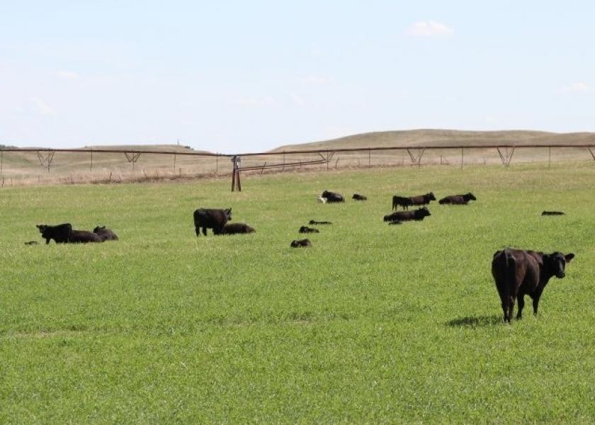 BT_Nebraska_Cattle_Irrigation_Center_Pivot