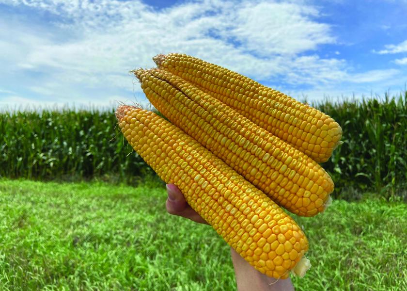 The 2020 Pro Farmer Crop Tour showed the potential of record crops