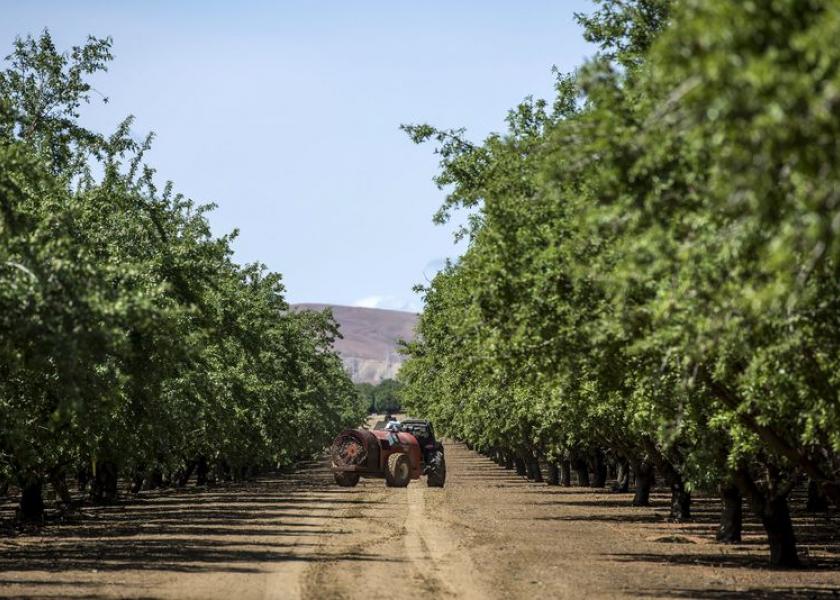 California Tightens Rules on Chlorpyrifos