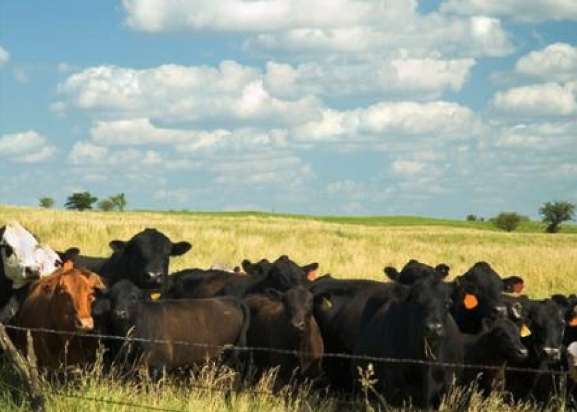Senator Fischer: America's Beef Producers Are Not Villains