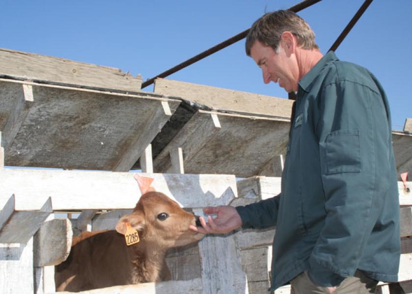 Dairy_producer_with_calf
