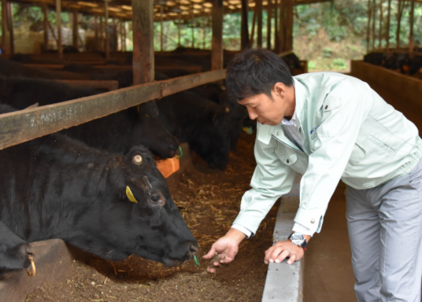 Japanese imported beef will see lower tariffs.