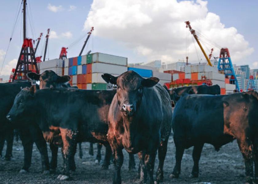USMEF Audio: Updates on Beef Exports and Market Access in Japan, China
