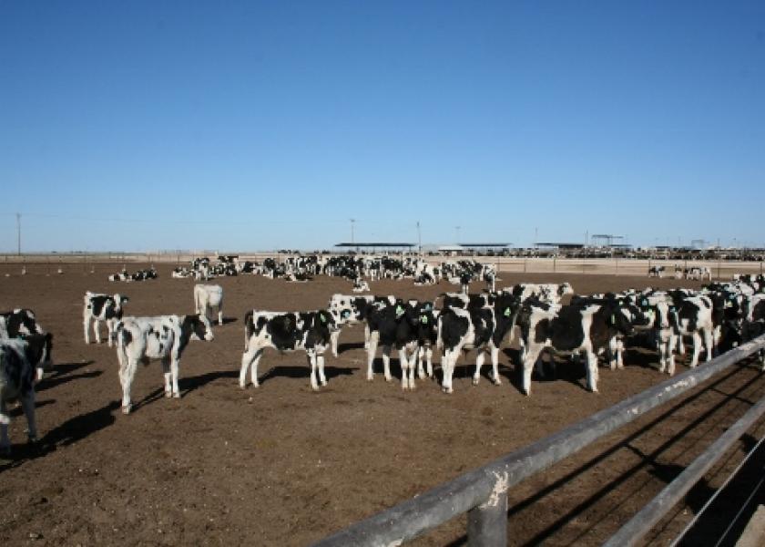 While pathogen exposure, environment and diet are similar, some of these cattle will contract BRD while others remain healthy, suggesting a genetic component to susceptibility or resistance.