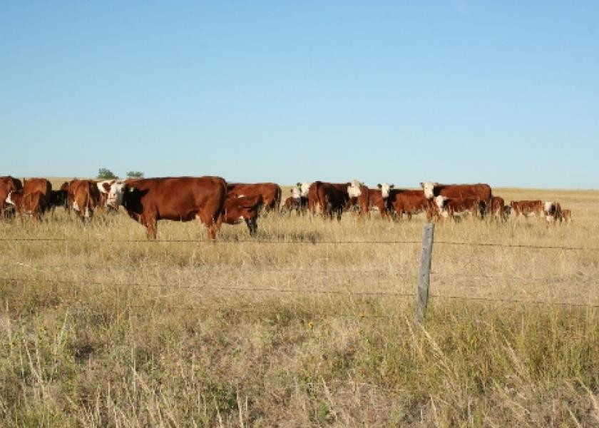 Only 3.7 percent of U.S. GHG emissions come directly from beef cattle. 