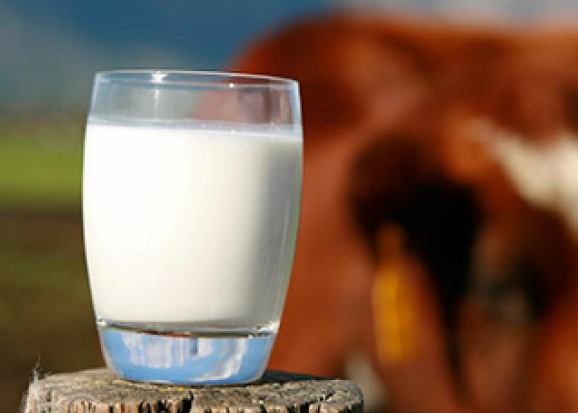 European Milk Board Calls for 2% Milk Production Cuts
