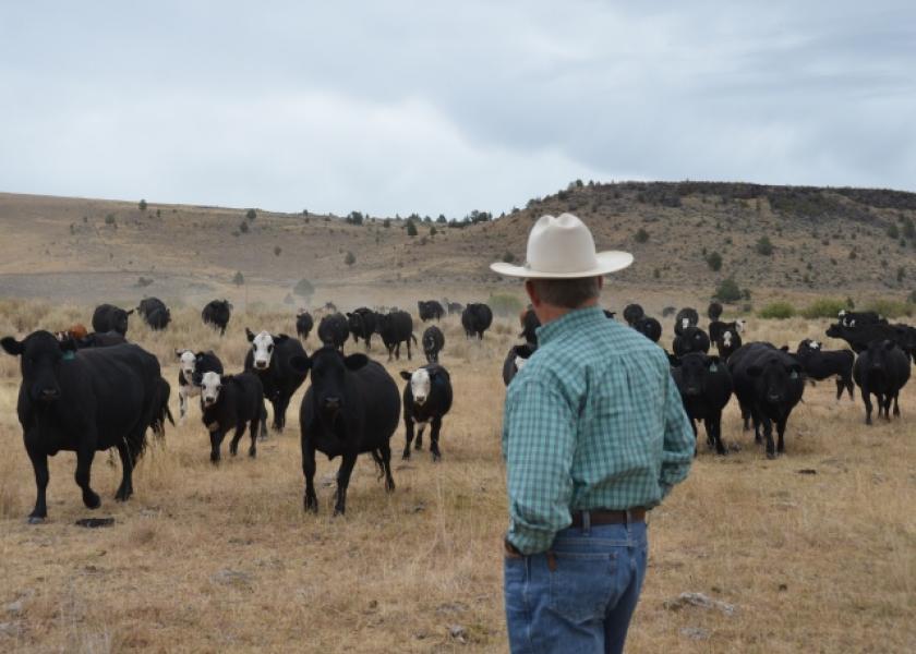 Oregon_Cattleman_Cow_Calf