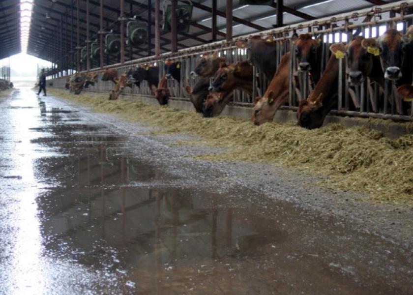 Like it or not, feed prices have dramatically risen year-over-year, and leading experts advise producers to gain some control over their feed costs.