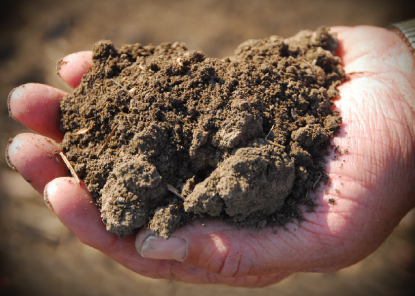 The Economics of Soil Health