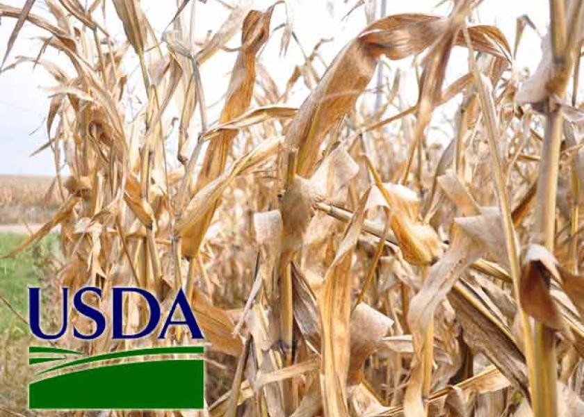 USDA-corn-harvest-time