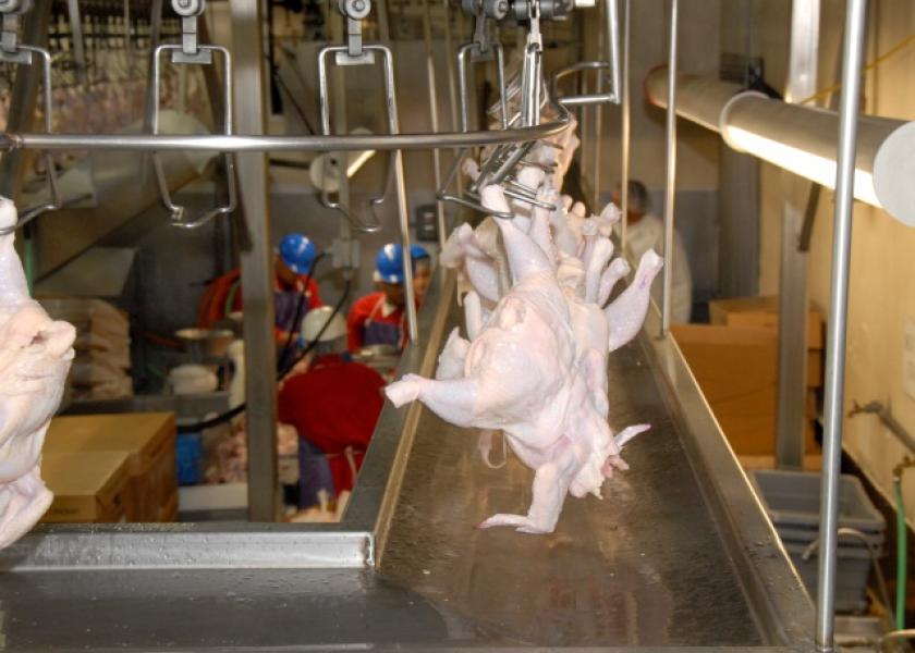 USDA_Chicken_Processor_Poultry_3