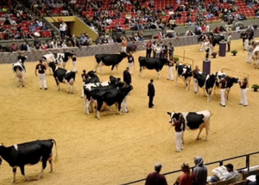 Dairy Cattle Judges Unveiled for World Dairy Expo 2014
