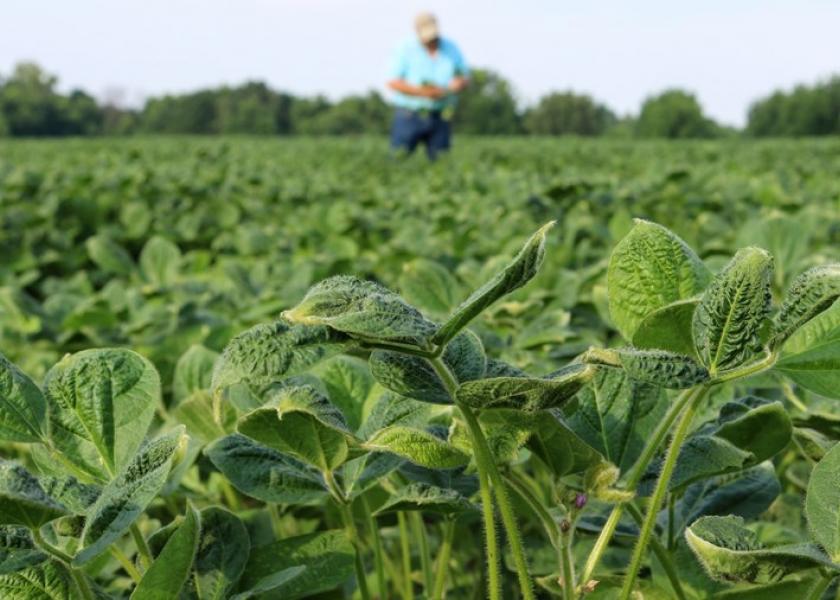 Farmers in at least 10 states are involved in lawsuits claiming various levels of loss and damage due to dicamba-tolerant technology.