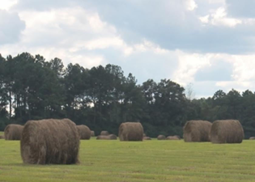Hay, Definition, Grass, Bale, & Facts