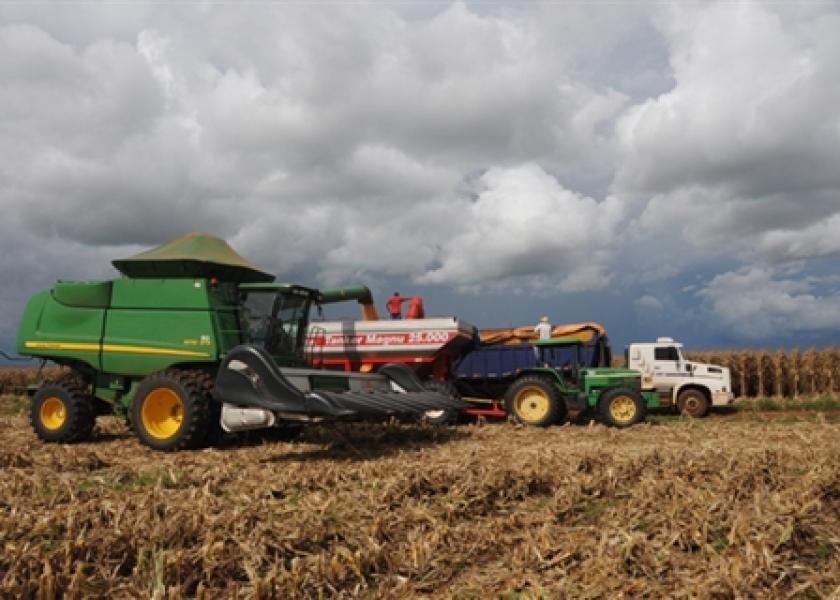 Analysts cut crop estimates for South America	