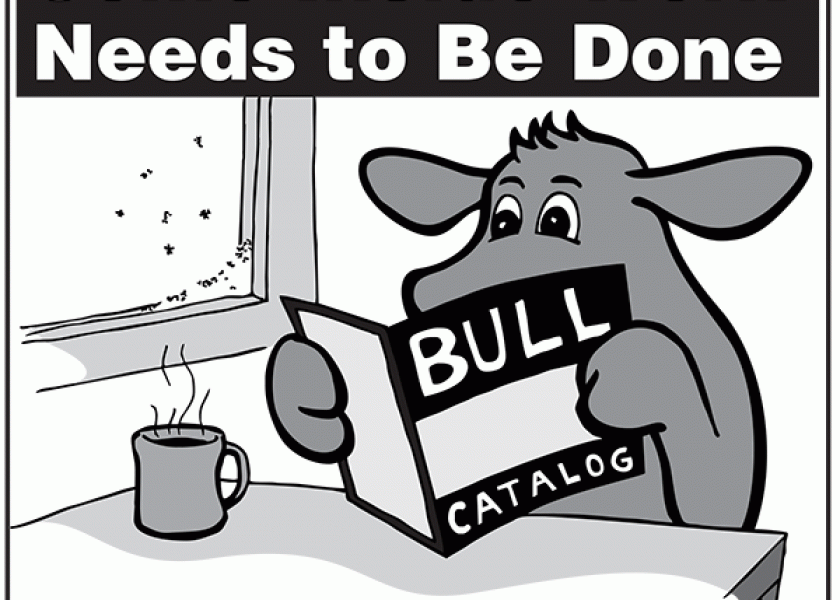bull_cartoon