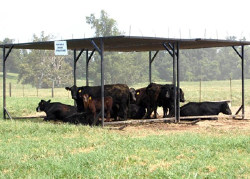cattle_shade