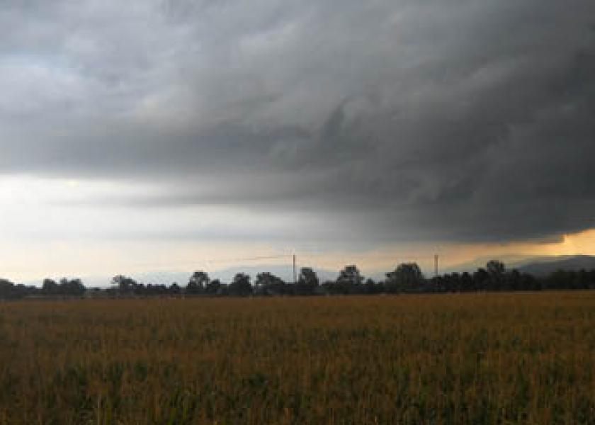 corn field storm