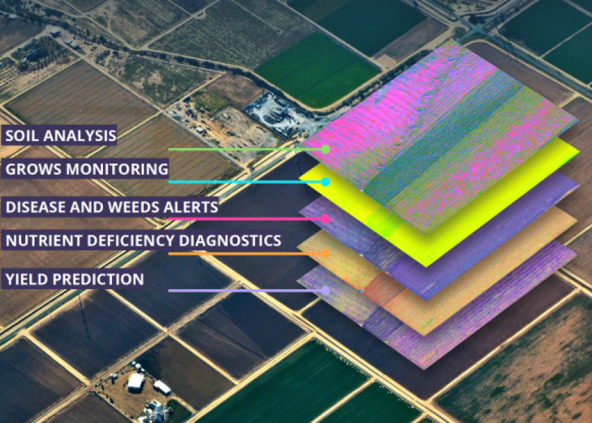 Learn More About a Crop with Hyperspectral Images