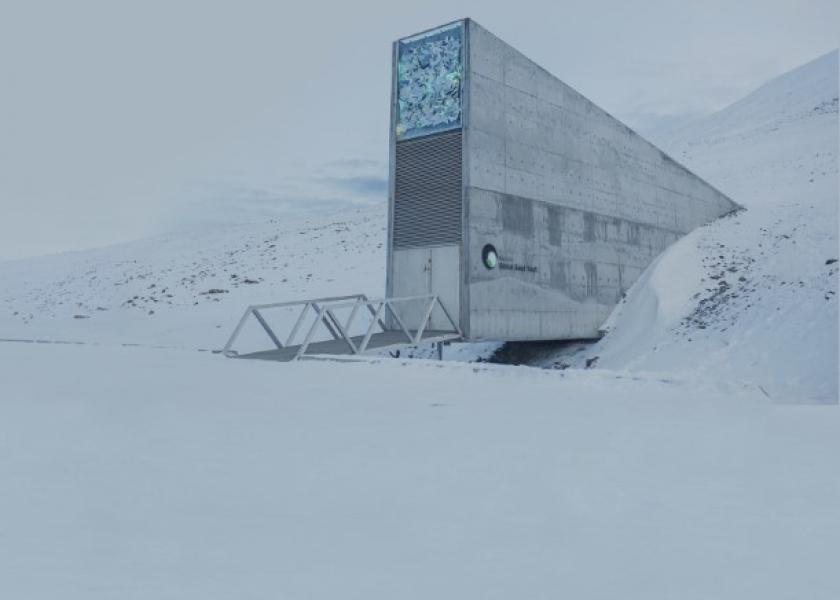 Climate Change Puts Global Seed Vault At Risk 