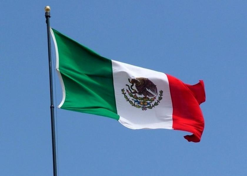 mexican-flag-1419731-639x478